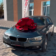 BMW 330i на фоні
  міста