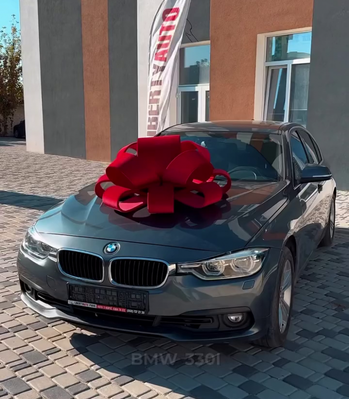 BMW 330i на фоні
  міста