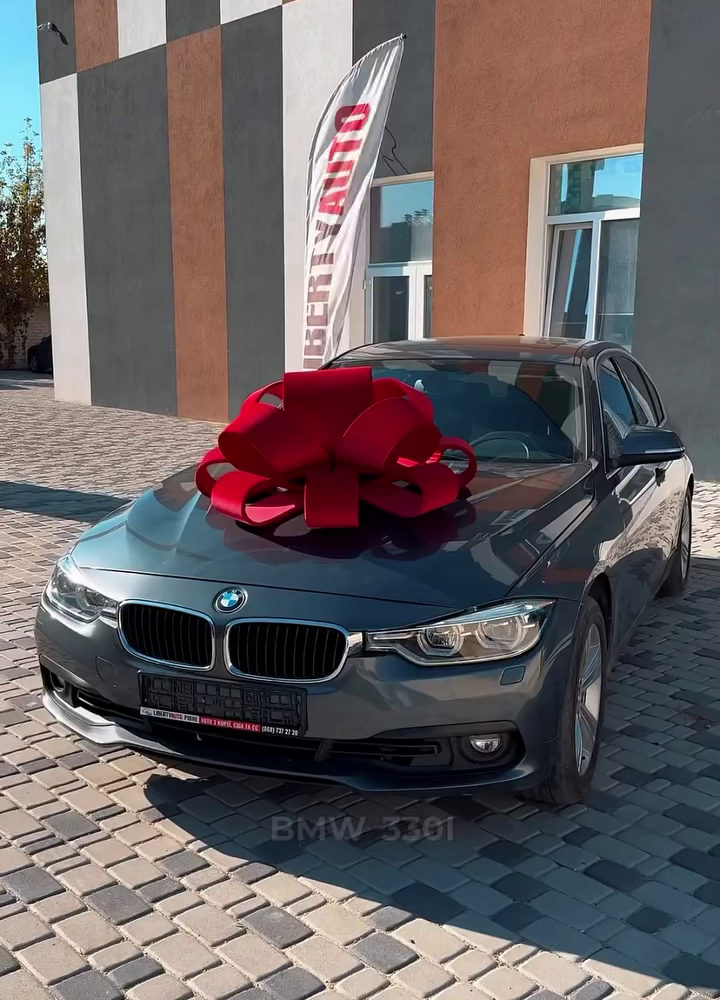 BMW 330i на фоні
  міста